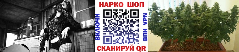Цена Тогучин Галлюциногенные грибы  Мефедрон  Cocaine  Гашиш  Бошки Шишки  Альфа ПВП 