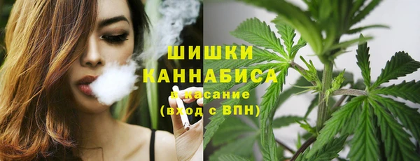 прущие грибы Алексин