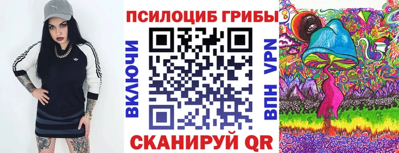 Псилоцибиновые грибы GOLDEN TEACHER Тогучин