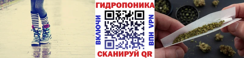 Шишки марихуана Amnesia Тогучин